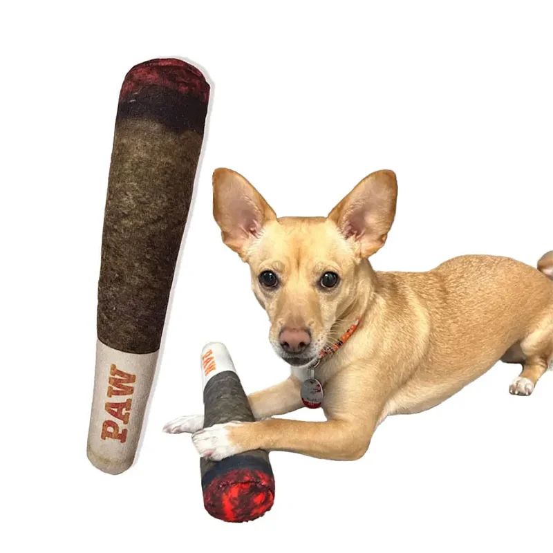 Plush Squeaky Toys for Medium, Small and Large - Cool Stuffed Cute Gifts for Dog Birthday Dog Joint Toys Funny Interactive